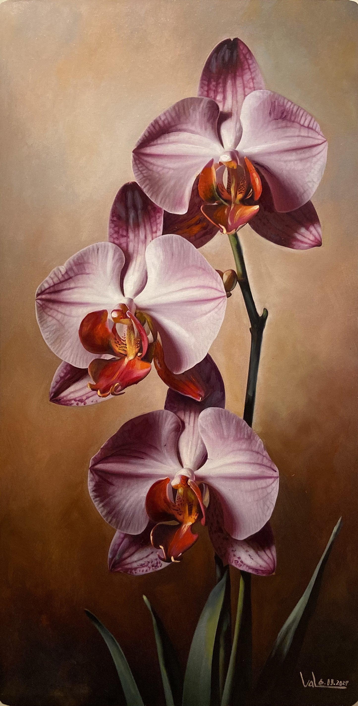 Orchids